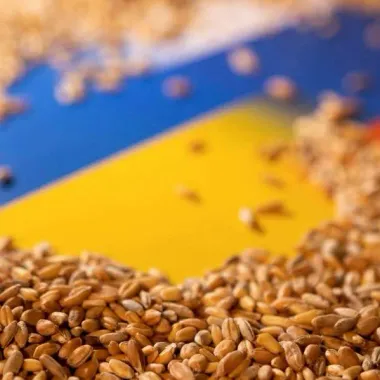 Вернется ли Россия к «Зерновой сделке» и станет ли ее возобновление темой переговоров на G20?