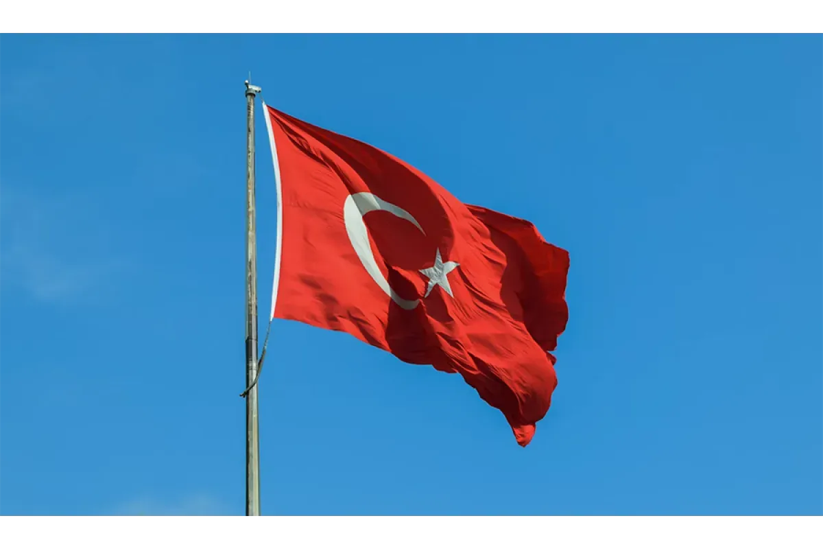 Турция предупредила РФ об эскалации из-за досмотра сухогруза