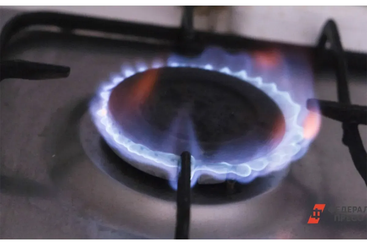 ФАС предлагает повысить цены на газ на 8% с июля 2024 года