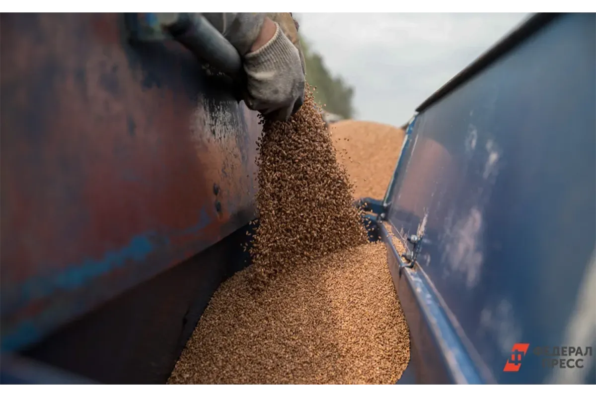 Россия поставит Египту 235 тыс. тонн пшеницы