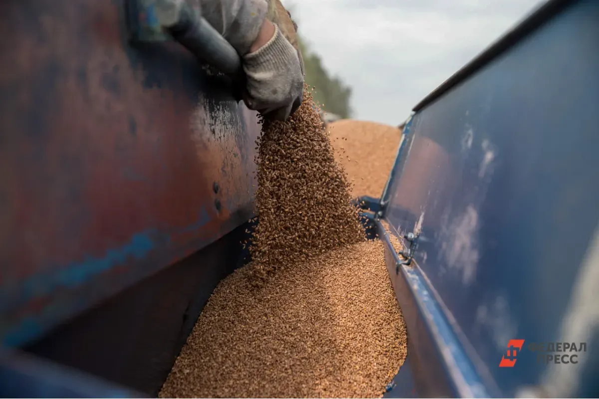 Россия официально приостановила участие в зерновой сделке