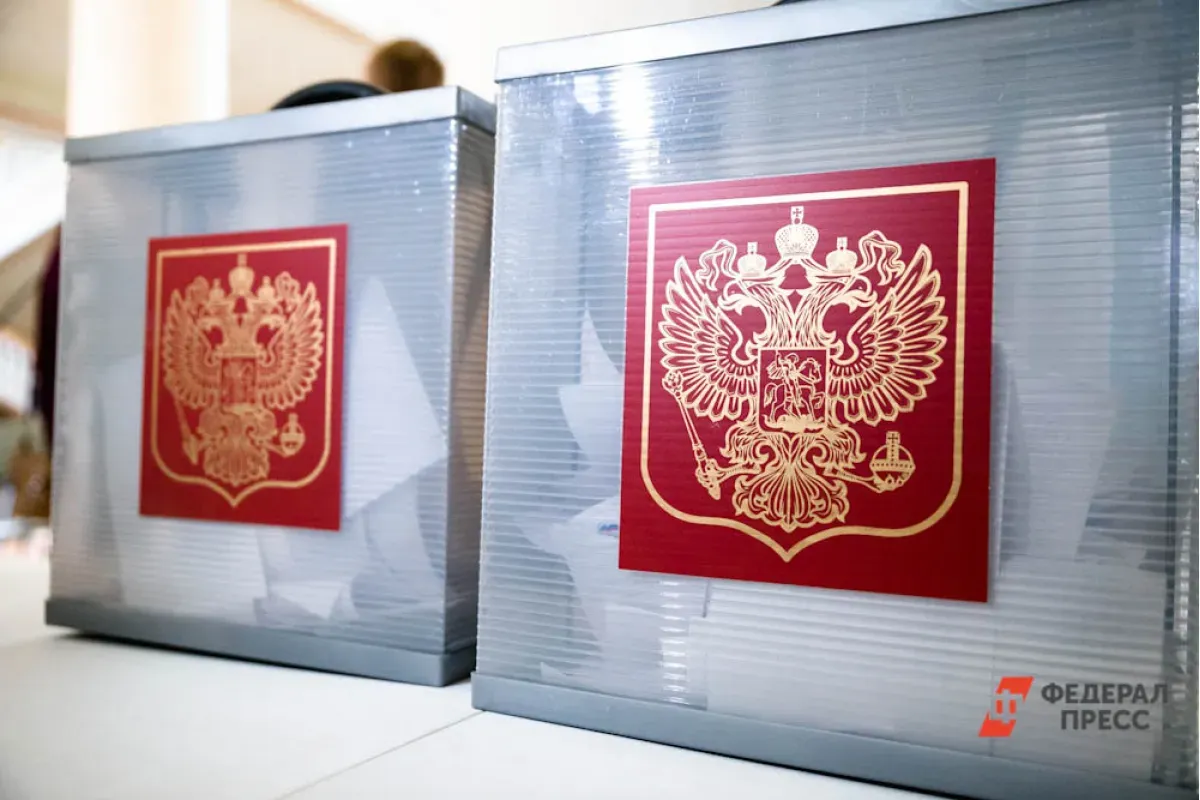 Политолог рассказал о том, как проходили выборы на новых территориях России