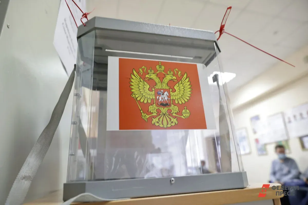 Выборы в ДНР завершатся досрочно из-за высокой явки