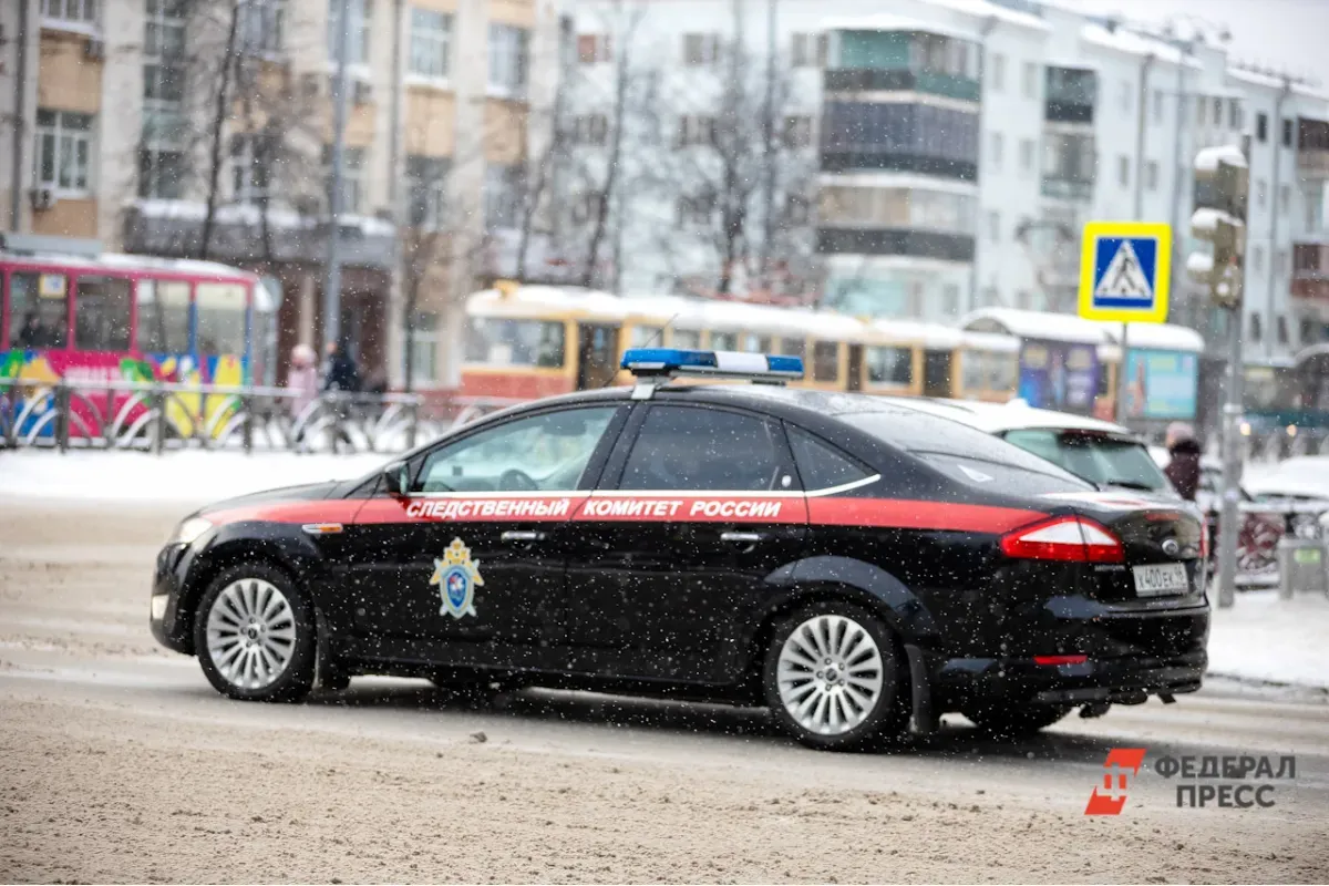 Дарья Трепова, подозреваемая в причастности к взрыву в Петербурге, задержана 