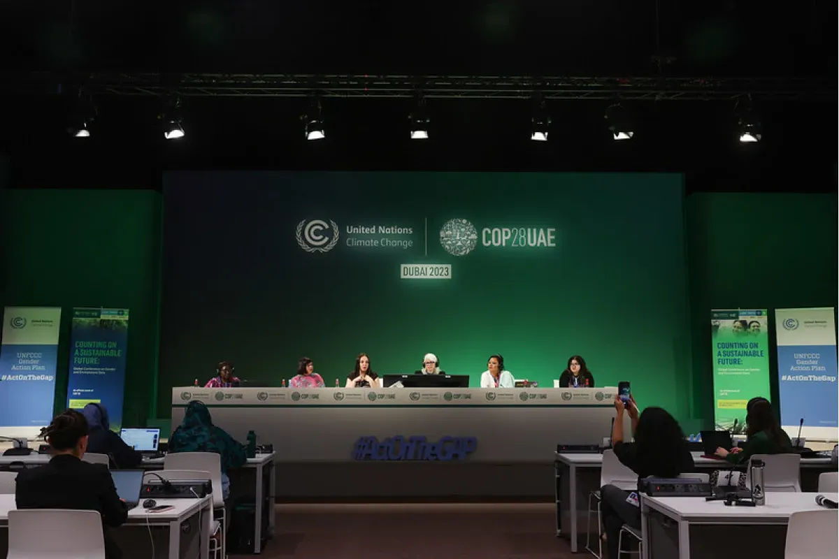 28-я конференция Рамочной конвенции ООН об изменении климата (СОР28)