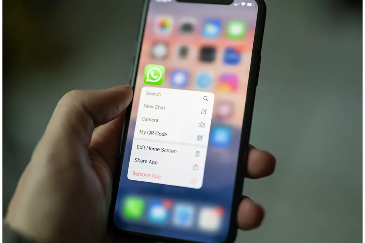 В России могут заблокировать WhatsApp из-за новой функции