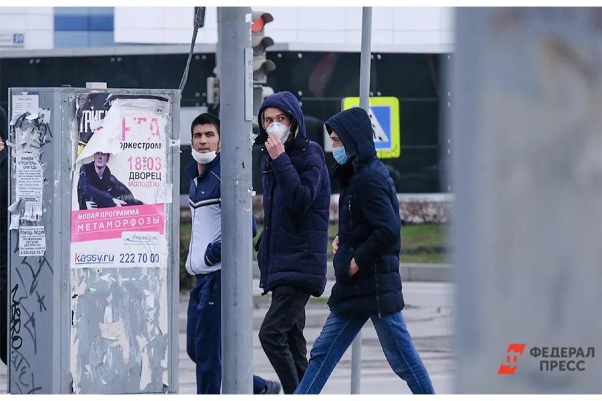 Семью мигрантов выдворят из России после драки в школе